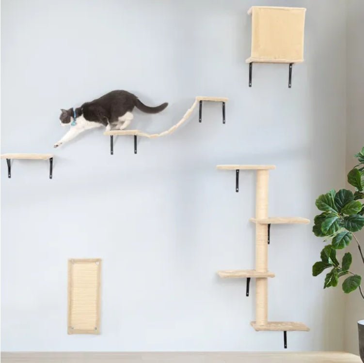 5 Pcs Wall Mounted Cat Climber Set Floating Cat Shelves And Perches Cat Activity Tree With Scratching Posts Modern Cat Furniture - Moon & Wall